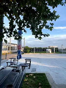 baramadalin online show from October 2025 05:30:01 AM