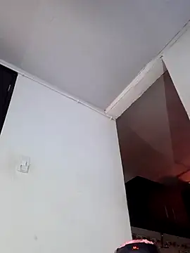 Nissha johosonn online show from March 2025 12:56:02 PM