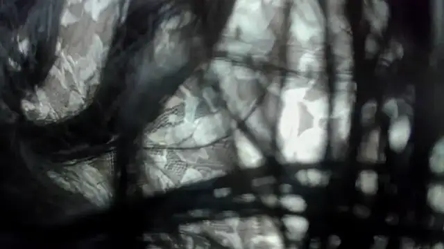 Najayla adams1 online show from January 2026 12:09:02 PM