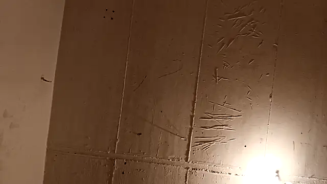 Timbojan28 online show from April 2026 10:55:02 PM