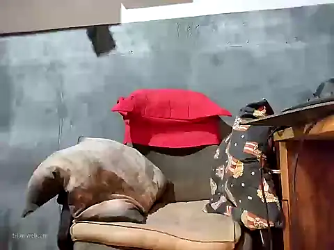 bumbumtatuado online show from January 2026 02:26:02 AM