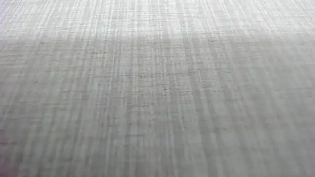 AishaRouhi online show from March 2026 05:15:01 AM