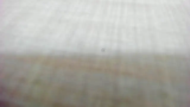 AishaRouhi online show from February 2026 05:29:02 AM