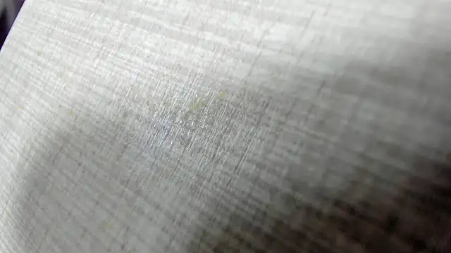 AishaRouhi online show from April 2026 03:58:02 AM