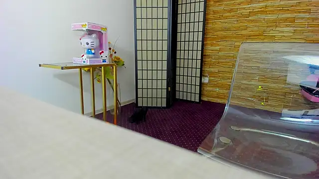 AishaRouhi online show from December 2025 06:07:02 AM