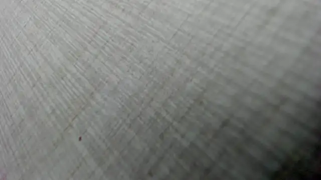 AishaRouhi online show from February 2026 05:05:01 AM