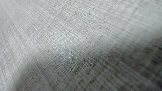 AishaRouhi online show from March 2026 04:14:02 AM