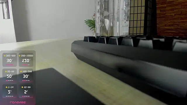 AishaRouhi online show from October 2025 03:53:02 AM