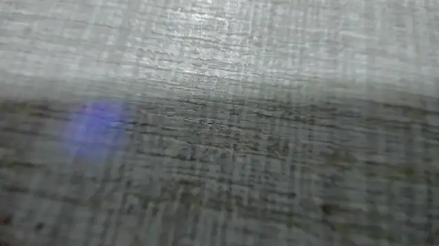 AishaRouhi online show from March 2026 04:34:01 AM