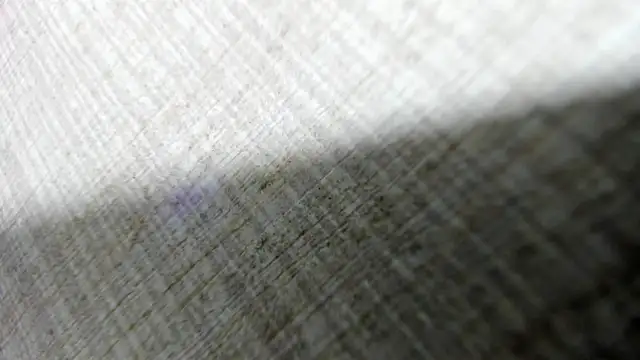 AishaRouhi online show from March 2026 04:40:02 AM