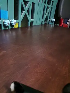 bigdickdaddy2184 online show from December 2025 09:35:02 AM