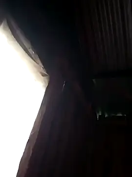 bigdicktaoni online show from December 2024 03:31:01 AM