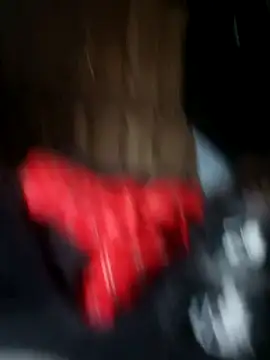 bigdicktaoni online show from December 2024 02:22:02 PM