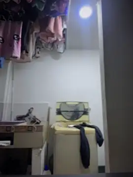 Emiily lee online show from April 2026 10:27:01 AM