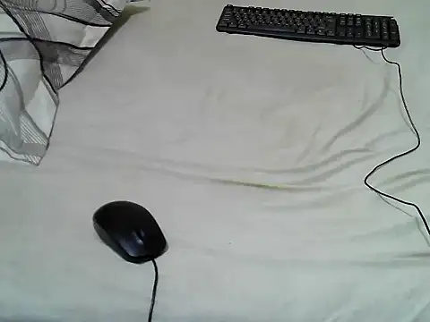 Quincy joyy online show from March 2026 07:23:01 AM