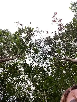 Sofia xx2 online show from February 2025 09:18:02 AM