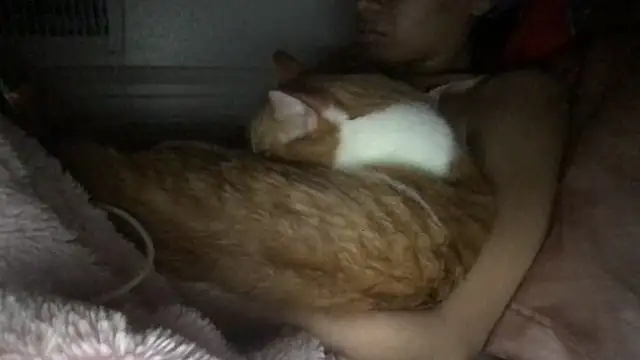 loveofbea online show from March 2026 03:32:01 AM