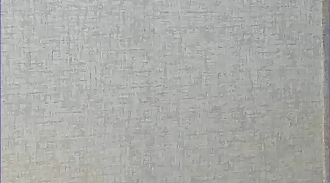 Ricardogo19 online show from March 2025 02:37:02 AM