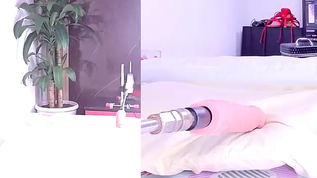 Sophia Lovers01 online show from March 2026 08:38:02 PM