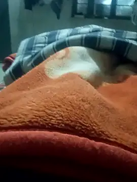 rjxraj online show from January 2026 03:19:02 PM