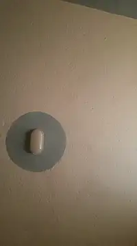 C-yoyo online show from February 2025 01:43:01 PM