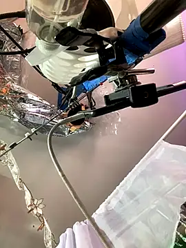 gurlnips online show from November 2025 06:35:01 AM