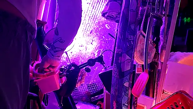 Snapshot of gurlnips chatting on March 2026 12:04:02 AM gurlnips online show from March 2026 12:04:02 AM