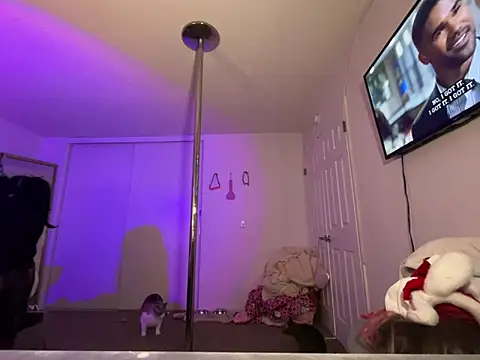 Onlypawzz online show from February 2026 06:12:02 AM