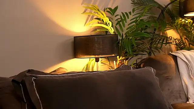  keeti  online show from January 2026 01:34:01 AM