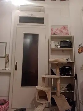 fattone95 online show from December 2025 08:55:02 PM