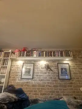 Snapshot of Fantasie-Hot-Sarah chatting on February 2025 09:43:01 AM Fantasie-Hot-Sarah online show from February 2025 09:43:01 AM