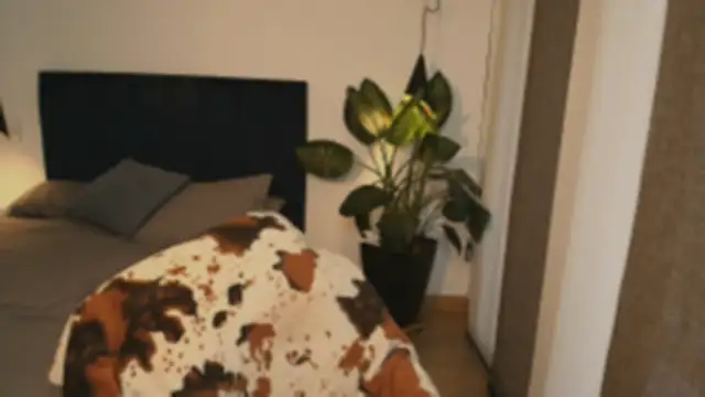 pansuggarofficial online show from December 2025 11:23:02 AM