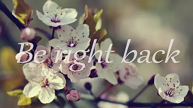 1lindsey1 online show from April 2026 08:53:01 AM