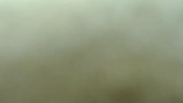 lakeeza online show from November 2025 06:00:02 PM