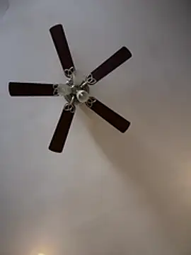 ThicBunz online show from February 2026 02:15:01 PM