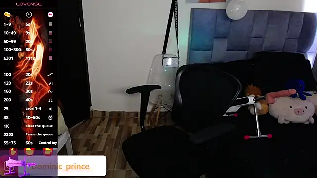 DominicPrince online show from November 2025 07:03:01 PM