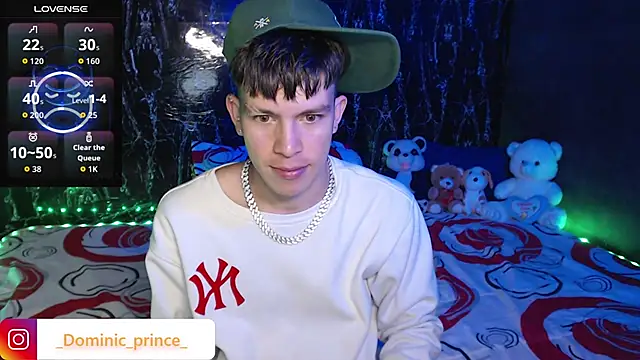 DominicPrince online show from February 2026 02:22:01 AM