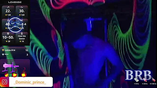 DominicPrince online show from January 2026 04:11:02 PM