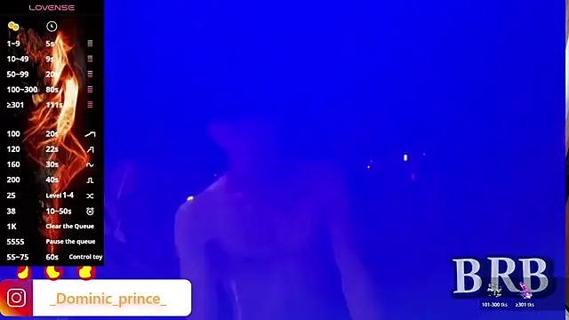 DominicPrince online show from November 2025 12:10:02 PM