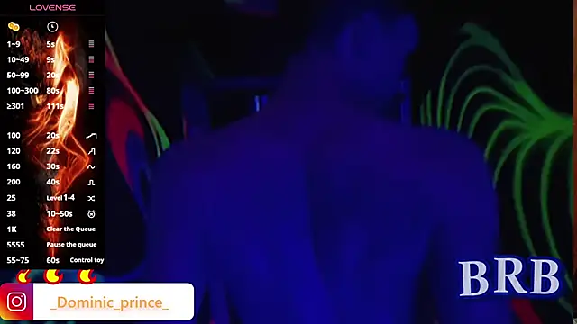 DominicPrince online show from November 2025 03:21:01 AM