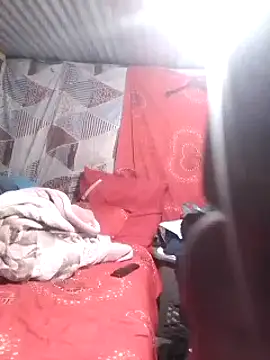 DigCrok online show from December 2024 09:19:02 PM