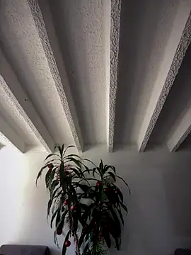 Khalyk G online show from December 2025 02:12:02 PM