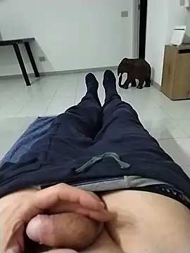 Meriozoro online show from March 2026 08:36:01 PM