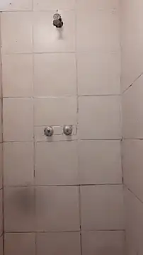 Scollyman online show from January 2026 11:38:01 AM