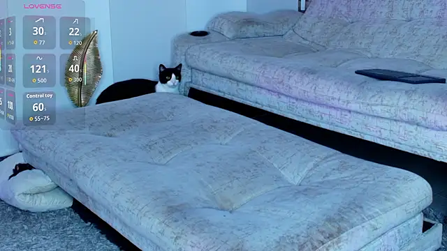 zaiin diesel online show from March 2026 09:55:02 AM