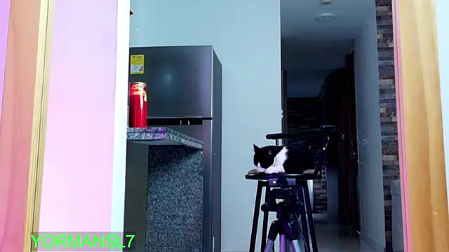 zaiin diesel online show from November 2025 11:43:02 AM