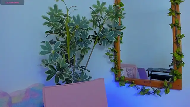 ShegoBlake online show from March 2026 12:47:02 AM