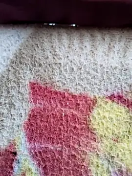 MAN MOHINI 21 online show from March 2025 06:07:02 AM