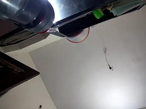 bigvorn6 online show from March 2026 06:26:01 AM