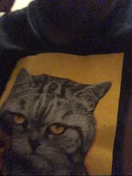 Jasontv56 online show from December 2025 02:05:01 AM